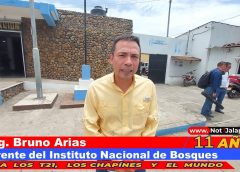 ¿Qué pasaría si dejaran de otorgar licencias forestales?