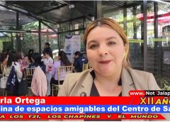 Ya se esta aplicando la vacuna contra la influenza