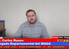 Hasta el momento no se reportan perdidas en la agricultura