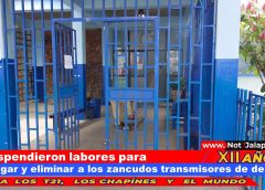 Suspendieron labores para fumigar y eliminar a los zancudos transmisores de dengue