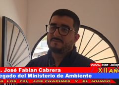 La falta de lluvias perjudico recuperar áreas de bosque dañadas