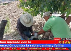 Ya han iniciado con la vacunación contra la rabia canina y felina