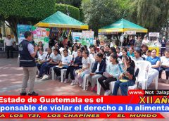 Estado de Guatemala es el responsable de violar el derecho a la alimentación