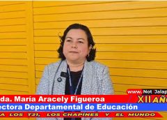 Es permitido o no el uso de teléfonos celulares en centros educativos